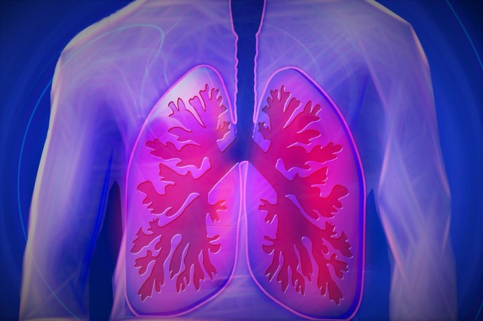 lungs_1528206281
